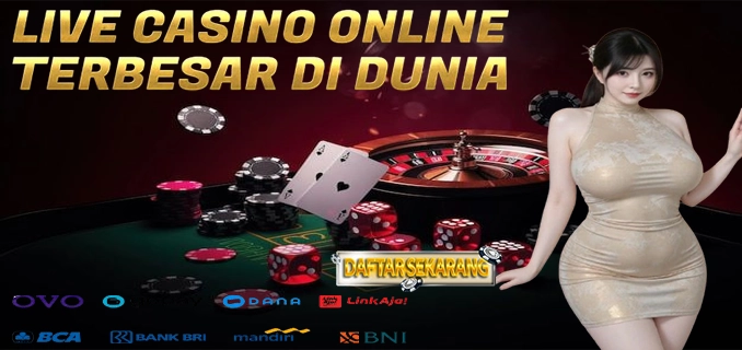 Slotpiramida Cashback